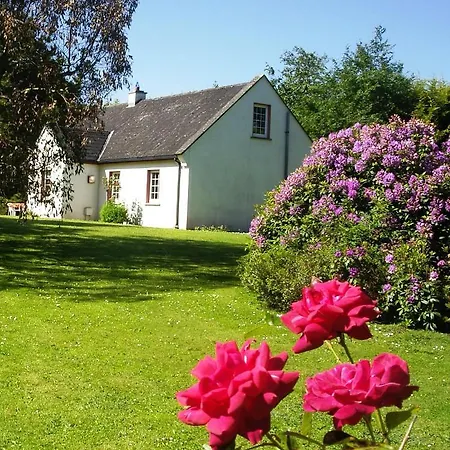 Clonmoylan - Rose 度假居